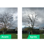 chantier avant-après à Saint-Martin-du-Fouilloux